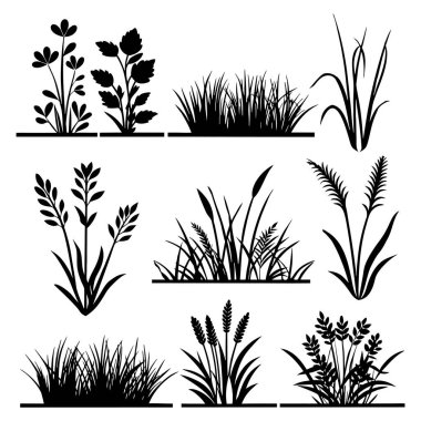 Çimen çalısı siluet vektörü farklı doğal bitki şekilleriyle ayarlandı