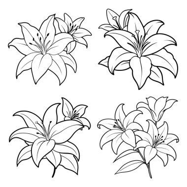 Temiz, Siyah ve Beyaz, Çizgi Sanat Tarzı, Renkli Kitaplar, Davetiyeler ve Yazdırılabilir El Sanatları İçin Uygun Dört Lily Çiçek Çizimi