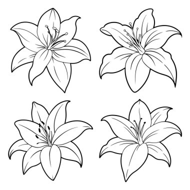 Temiz, Siyah ve Beyaz, Çizgi Sanat Tarzı, Renkli Kitaplar, Davetiyeler ve Yazdırılabilir El Sanatları İçin Uygun Dört Lily Çiçek Çizimi.