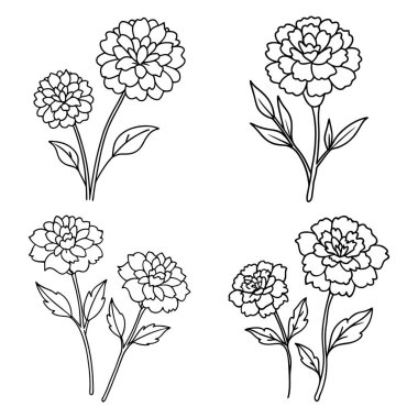 Temiz, Siyah ve Beyaz, Çizgi Sanat Tarzı, Renkli Kitaplar, Davetiyeler ve Basılabilir El Sanatları İçin Uygun Dört Marigold Çiçek İllüstrasyonu