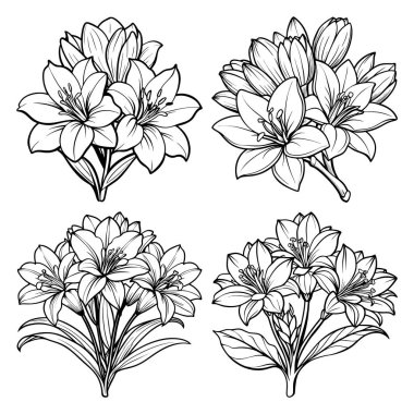 Temiz, Siyah ve Beyaz, Çizgi Sanat Tarzı, Renkli Kitaplar, Davetiyeler ve Basılabilir El Sanatları İçin Uygun Dört Çiçek Çizimi.