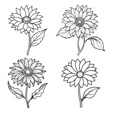 Temiz, Siyah ve Beyaz, Çizgi Sanat Tarzı, Renkli Kitaplar, Davetiyeler ve Basılabilir El Sanatları İçin Uygun Dört Çiçek Çizimi.