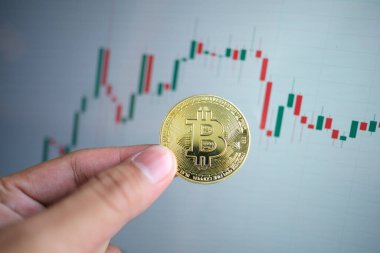 Bilgisayarda gelişim grafiğinin arka planında el ele tutuşan bitcoin. Sanal para kavramı ve finansal büyüme kavramı. Bitcoin ticareti. Yüksek kalite fotoğraf