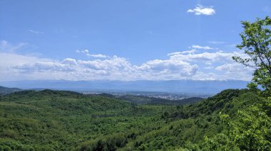 Gürcistan 'da yeşil ağaçlar ve mavi gökyüzü olan dağ manzarası