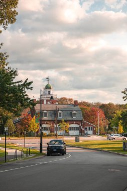 New England Ormanı 'nda Erken Yaprak Sahnesi