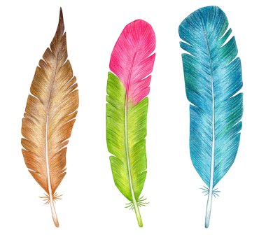 Renkli tüy the 124; Renkli boya desenleri the 124; Çokrenkli tüy