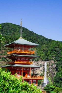 Nachi, Japonya Seigantoji ve Nachi no Taki şelalesinde. Bu fotoğraf güneşli bir sonbahar gününde çekildi..