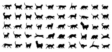 Cat Breeds silhouette set clipart