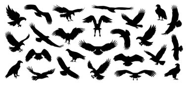 kartal silueti seti, uçan kartal silueti vektörü