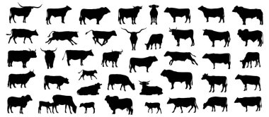 İnek silueti vektör demeti