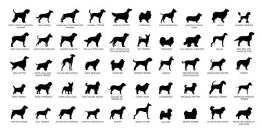 Dog Breeds siluet seti 2