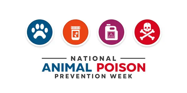 Ulusal Hayvan Zehirini Önleme Haftası. İkon hayvanı, ilaç ve daha fazlası. Kartlar, afişler, posterler, sosyal medya ve daha fazlası için harika. Beyaz arkaplan.   