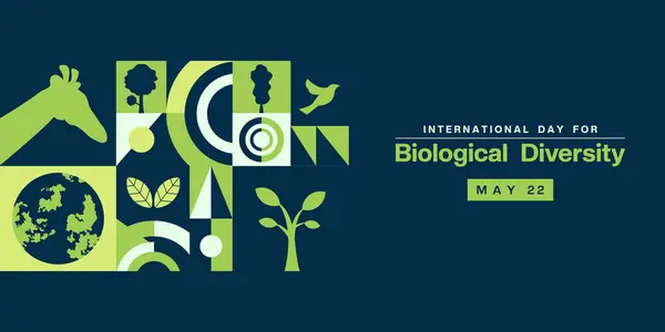 22 Mayıs, Biyolojik Çeşitlilik İçin Uluslararası Gün. Geometrik stil, zürafa, toprak, bitki ve kuş. Posterler, afişler, sosyal medya ve daha fazlası için harika. Koyu mavi arkaplan.