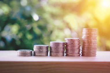 Fişek efektleriyle paradaki bitkiler artar. Para büyür kavramı. Para büyüt, finans işi yap 