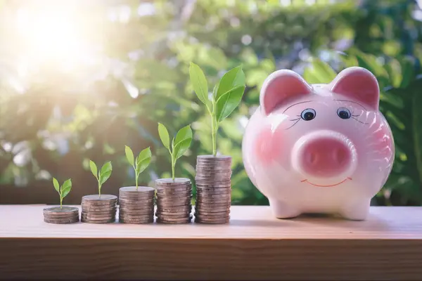Plants On Money In Increase With Flare Light Effects - Money Growth Concept. Invest money grow, finance business with piggybank
