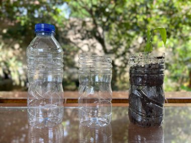 Plastik şişeleri saksıya dönüştür