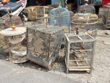 Yol kenarındaki hayvan pazarında güvercin ticareti