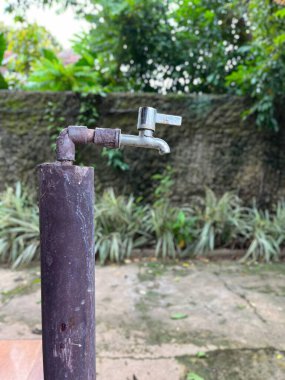 Bitkileri sulamak için musluk ve hortum