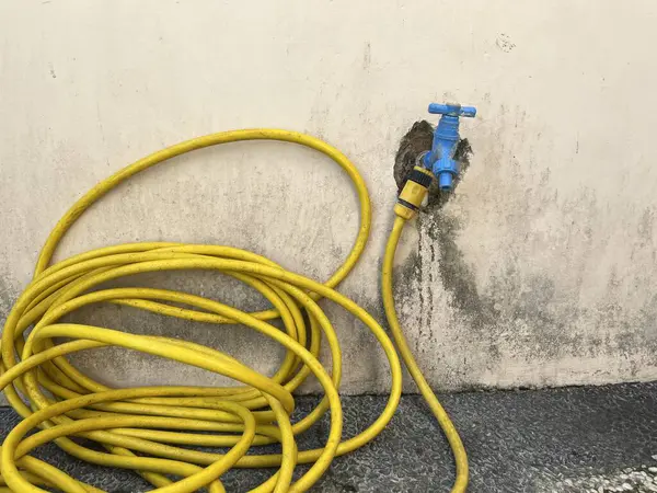 Bitkileri sulamak için musluk ve hortum