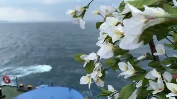 Arkasında Gökyüzü Dağlar Deniz Olan Feribot Gemisi — Stok video