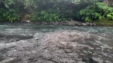 Serene Flowing River ve yemyeşil yapraklar kıyılar boyunca akıyor. Bereketli yeşil bitki örtüsüyle çevrili sakin ve el değmemiş bir nehir sakin bir manzara yaratıyor..