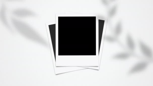 Animación Cuadros Polaroid Blanco Vacía Animación Instantánea Los Marcos Foto — Vídeo de stock