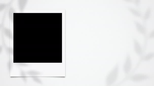 Prázdné Prázdné Snímky Polaroidu Animace Snímků Instant Photo Frames Animation — Stock video