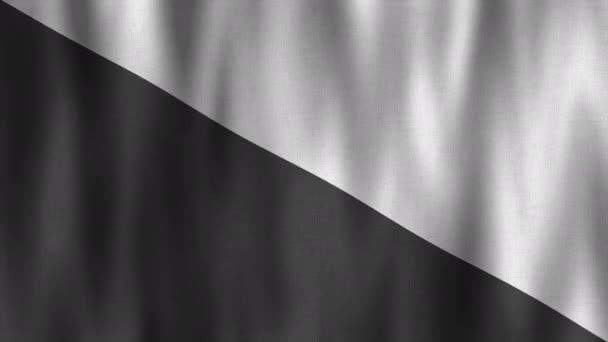 Golvende Zwarte Witte Vlag Animatie — Stockvideo