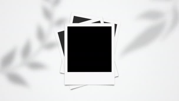 Lege Blanco Polaroid Fotolijsten Animatie Instant Fotolijsten Animatie — Stockvideo