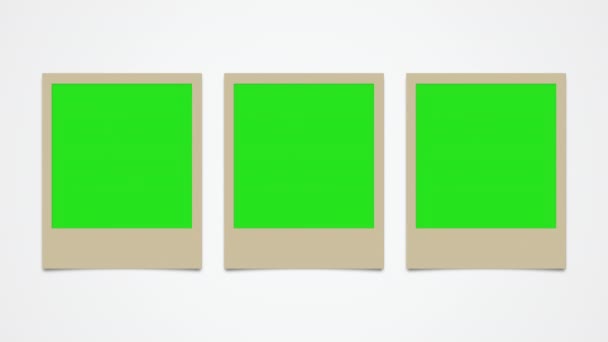 Instant Photo Frames Animáció Zöld Képernyővel — Stock videók