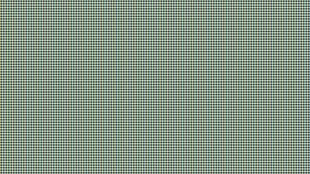 古いLcdピクセルの背景 コンピュータ画面 ピクセルテクスチャのマクロショット — ストック動画