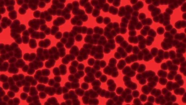 Bewegende Bloedcellen Achtergrond — Stockvideo