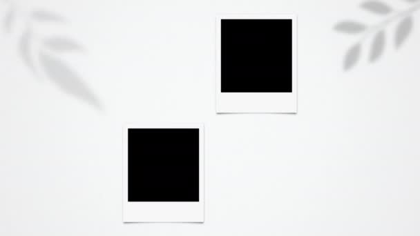 空空白偏振相框动画 即时相框动画 — 图库视频影像