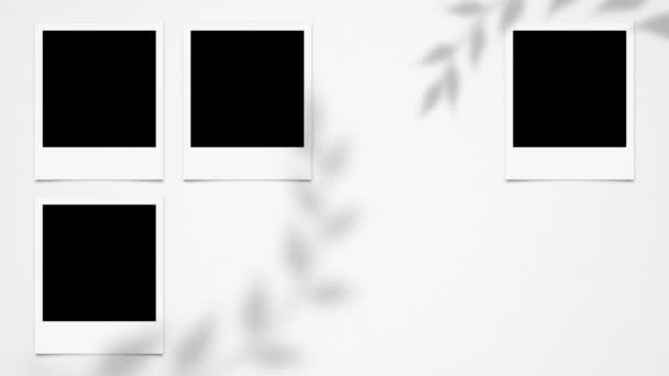 Prázdné Prázdné Snímky Polaroidu Animace Snímků Instant Photo Frames Animation — Stock video
