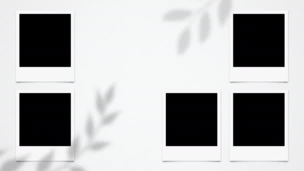 空空白偏振相框动画 即时相框动画 — 图库视频影像