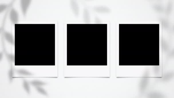 Tomma Blanka Polaroid Bild Ramar Animation Instant Photo Frames Animation — Stockvideo