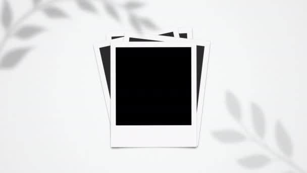 Üres Üres Polaroid Képkeretek Animáció Instant Photo Frames Animáció — Stock videók