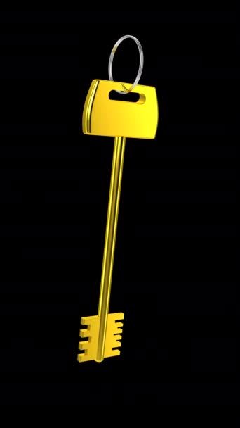 金钥匙挂在黑底钥匙圈上 — 图库视频影像