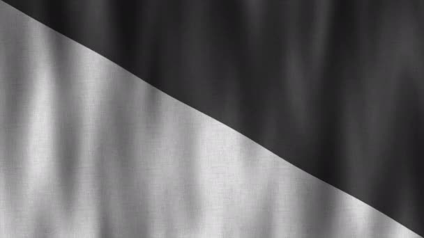 Dalgalı Siyah Beyaz Bayrak Animasyon — Stok video