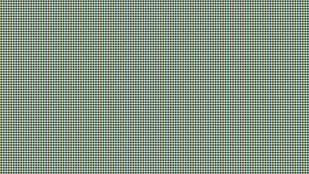 Old Lcd Pixels Background Macro Shot Computer Screen Pixel Texture — Stock Video