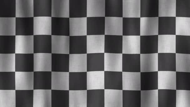 Абстрактный Фон Флага Клетке — стоковое видео