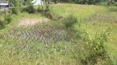 toprak durumu bir heyelan sonrasında (doğal afet)