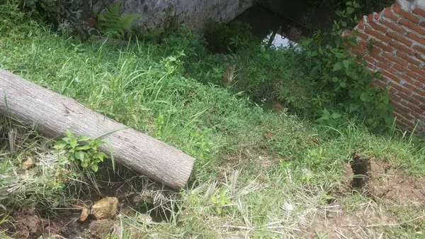 toprak durumu bir heyelan sonrasında (doğal afet)