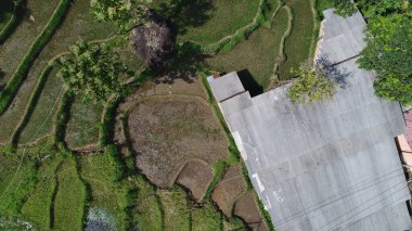 toprak durumu bir heyelan sonrasında (doğal afet)