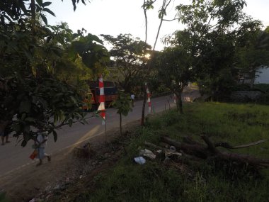 toprak durumu bir heyelan sonrasında (doğal afet)