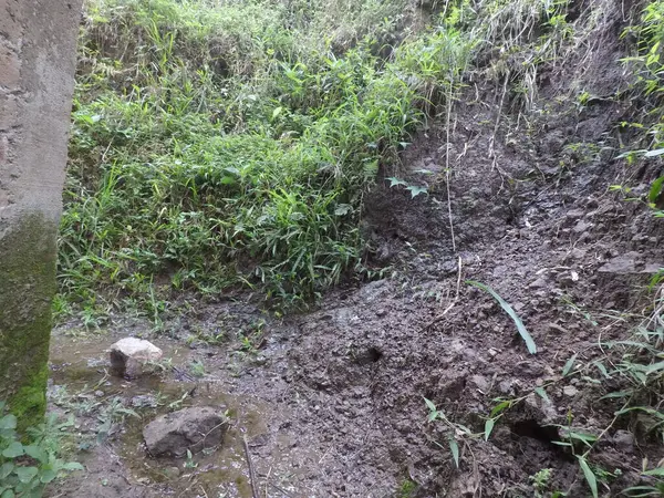 toprak durumu bir heyelan sonrasında (doğal afet)