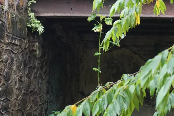 Köprü sel yüzünden hasar gördü.