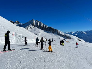 İsviçre Alpleri. Dağ kayağı. Snowboard. Kış zamanı. Spor. Kayakçılar. 
