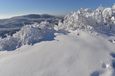 Vitoşa Dağı 'nın kış manzarası, Vihorlat