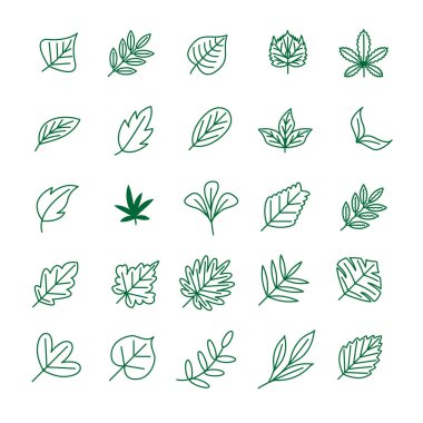 Yeşillik yaprağı, bitki, orman otları, tropik yaprak ikonları koleksiyonu.